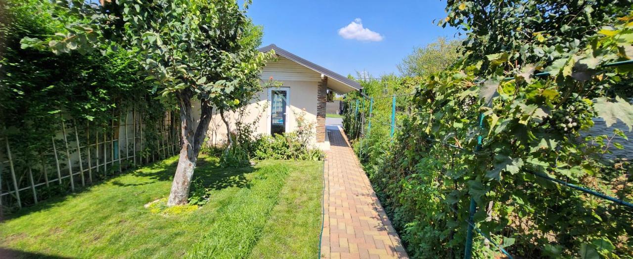 Morii Lake Pool Villa Букурещ Екстериор снимка